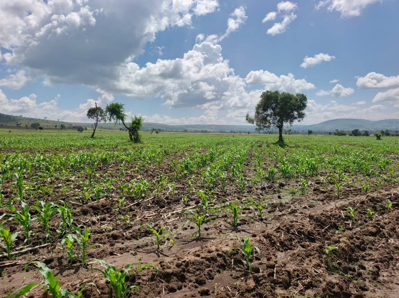 Land for sale Narok Kenya Mirisa Properties